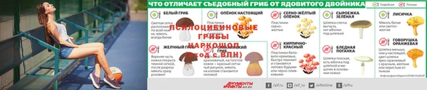 кокс Михайловск