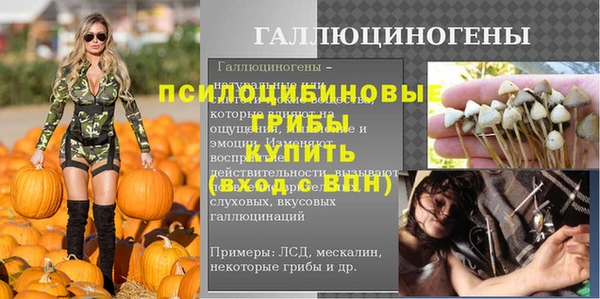 кокс Михайлов